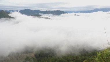 Güneşin doğuşuyla birlikte ormanın puslu dağlarının manzaralı görüntüleri.