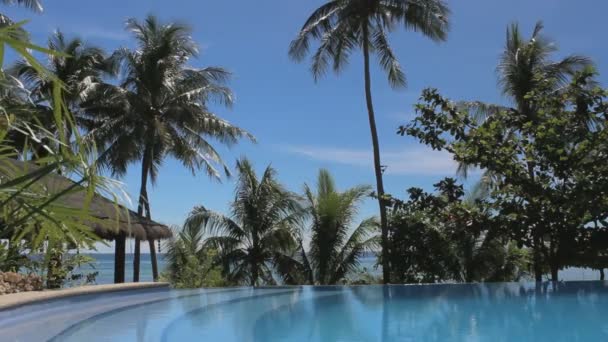 Vue Sur Mer Piscine Avec Bord Infini — Video