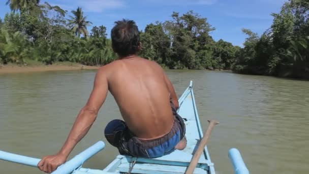 Rear View Man Driving Boat Mangrove Forest River Stock Footage