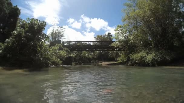 Scenic Footage Mountain River — Stock Video