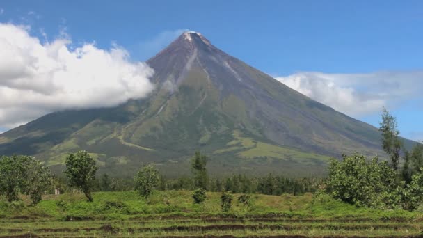 Čistý Výhled Horu Vulcano Mayon Legazpi Filipíny — Stock video