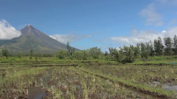 Vue Dégagée Sur Vulcano Mount Mayon Legazpi Philippines — Video