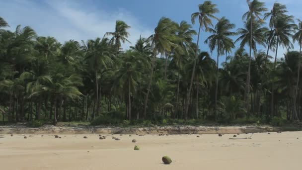 Images Panoramiques Belle Plage Sable Blanc Jour Ensoleillé — Video