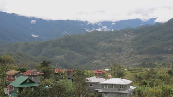 有倒水的稻田 Bohol 菲律宾 — 图库视频影像