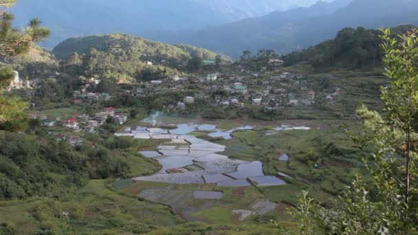 Рисові Тераси Рефлексією Води Бохоль Філіппіни — стокове відео