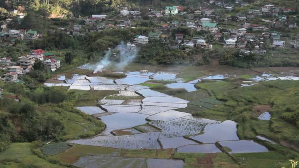 Riisiterassit Veden Heijastus Bohol Filippiinit — kuvapankkivideo