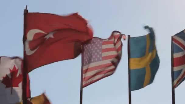 Bandeiras Diferentes Países Acenando Vento Bandeira Dos Estados Unidos Região — Vídeo de Stock