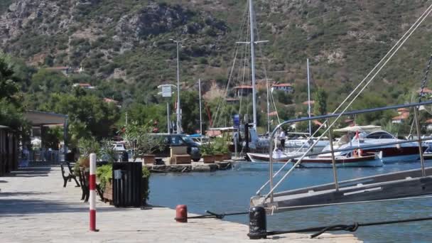 Beeldmateriaal Van Prachtige Griekse Haven Met Diverse Zeilboten — Stockvideo