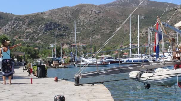 Beeldmateriaal Van Prachtige Griekse Haven Met Diverse Zeilboten — Stockvideo