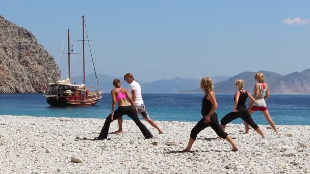 Aufnahmen Einer Gruppe Von Menschen Die Yoga Der Sonnigen Landschaft — Stockvideo