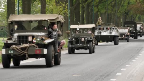 この軍事船団は 第二次世界大戦の終結を祝うため 毎年オランダのグイ地域を通過しています オランダでは 第二次世界大戦中のナチス ドイツによる占領の終結を記念して毎年5月5日に解放の日 オランダ語 Vevrijdingsdag が祝われている — ストック動画