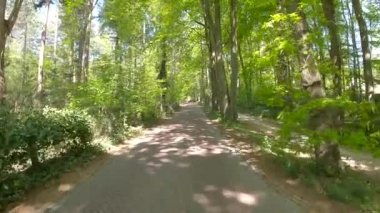 POV Hollanda fundalığından geçiyor.