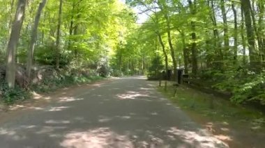 POV Hollanda fundalığından geçiyor.