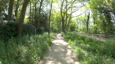 POV Hollanda fundalığından geçiyor.