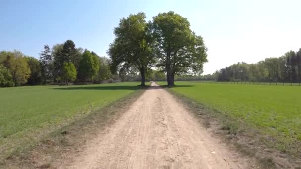 Pov Conduite Travers Bruyère Hollandaise Près Village Appelé Laren — Video