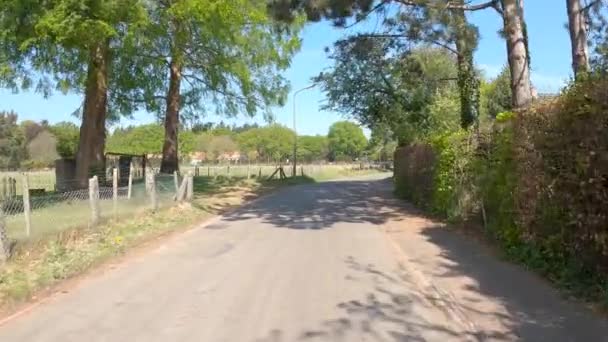 ラレンと呼ばれる村の近くのオランダのヘザーを通ってPov運転 — ストック動画