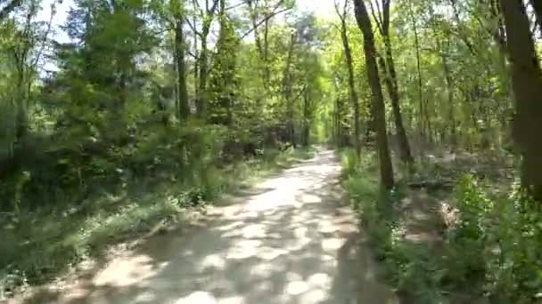 POV conduite à travers bruyère hollandaise près du village appelé Laren