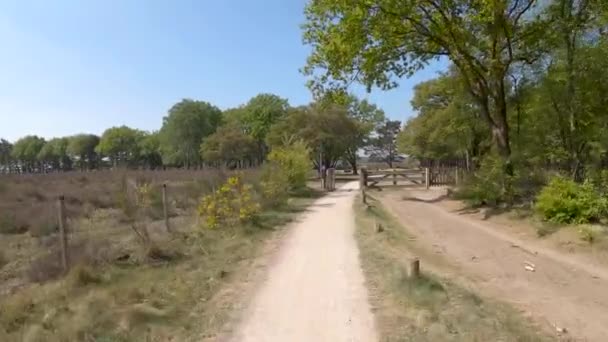 POV conduite à travers bruyère hollandaise près du village appelé Laren