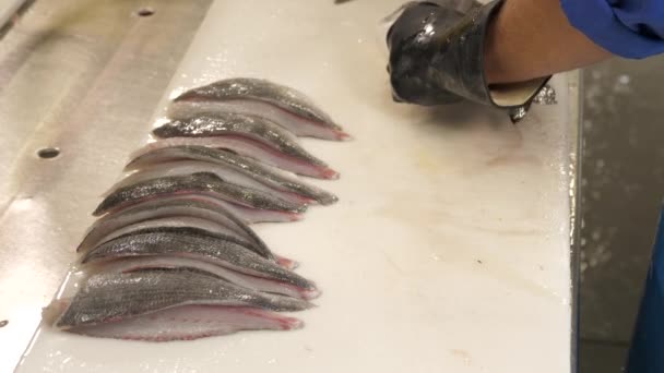 Sprzątanie Ryb Kuchni Przemysłowej Restauracji — Wideo stockowe