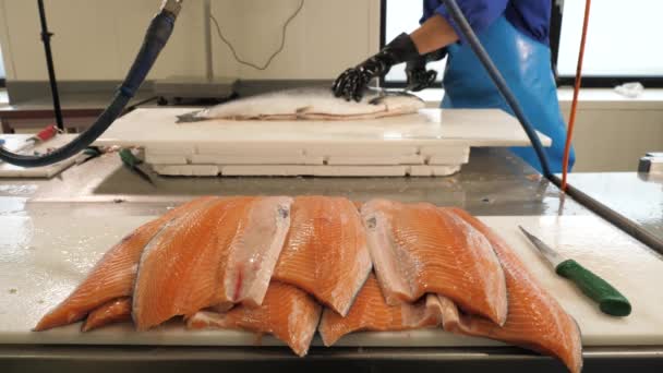 Καθαρισμός Ψαριών Σολομού Μια Βιομηχανική Κουζίνα Εστιατόριο — Αρχείο Βίντεο