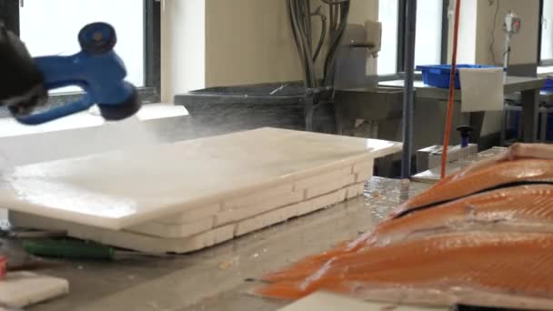 Schoonmaken Van Viskeuken Met Zalmen Voorgrond — Stockvideo