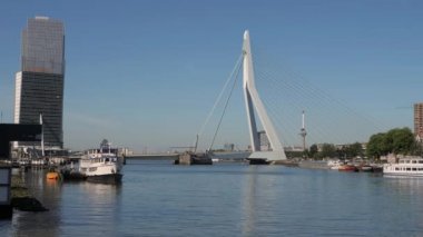 Erasmusbridge, Maas nehrinin üzerinde Rotterdam 'ın merkezinde.