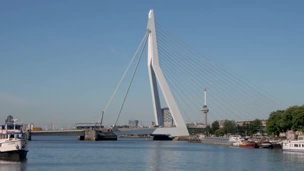 Erasmusbridge Centrum Rotterdamu Nad Rzeką Maas — Wideo stockowe