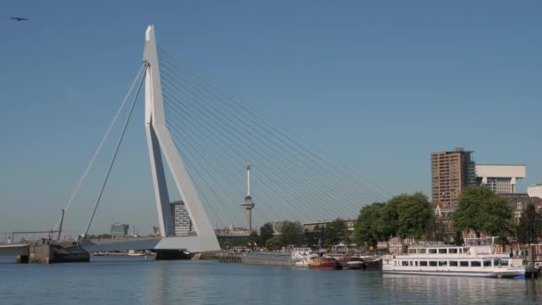 Erasmusbridge Mitt Rotterdam Över Floden Maas — Stockvideo