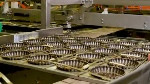 Images Rapprochées Convoyeur Pâte Lors Production Pâtisseries — Video