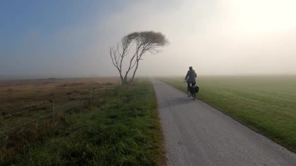 Ποδηλάτης Περνάει Από Ένα Δέντρο Ένα Ομιχλώδες Λιβάδι — Αρχείο Βίντεο