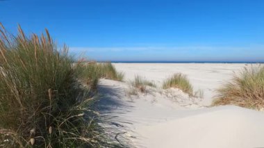 Hollanda 'daki Schiermonnikoog adasında kum tepeleri rüzgarda sallanıyor.
