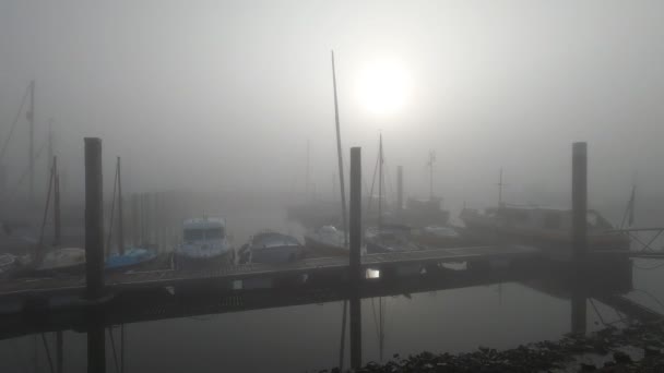 Szenische Aufnahmen Vom Hafen Einem Nebligen Morgen — Stockvideo