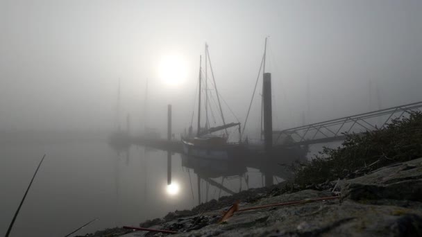 Szenische Aufnahmen Vom Hafen Einem Nebligen Morgen — Stockvideo