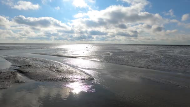 Szenische Aufnahmen Der Schönen Küste Sonnigen Tag — Stockvideo