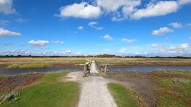 Yeşil alanda bisiklet sürerken pov görüntüleri
