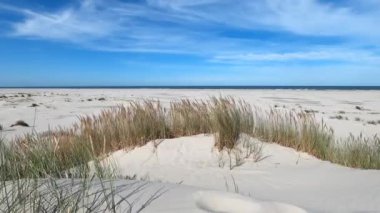 Hollanda 'daki Schiermonnikoog adasında kum tepeleri rüzgarda sallanıyor.