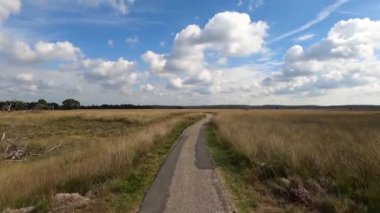 Ulusal Park Veluwe 'de Heather ve orman arasında yürüyüş yaparken.