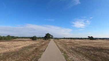 Ulusal Park Veluwe 'de Heather ve orman arasında yürüyüş yaparken.