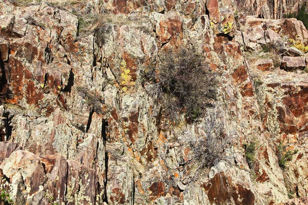 モントローズ コロラド州 米国の近くの説教壇岩でガニソン国立公園およびレクリェーション エリアのブラック キャニオンからカラフルな背景テクスチャ壁 — ストック写真