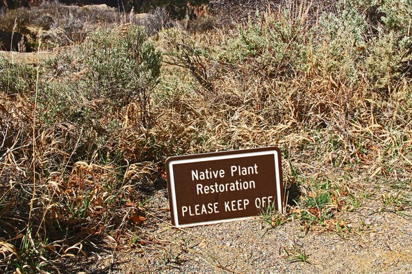 Restauración Plantas Nativas Progreso Por Favor Manténgase Alejado Firme Black —  Fotos de Stock