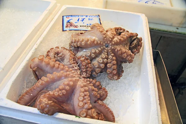 Zwei Kraken Auf Eis Auf Dem Riesigen Überdachten Athener Hauptmarkt — Stockfoto