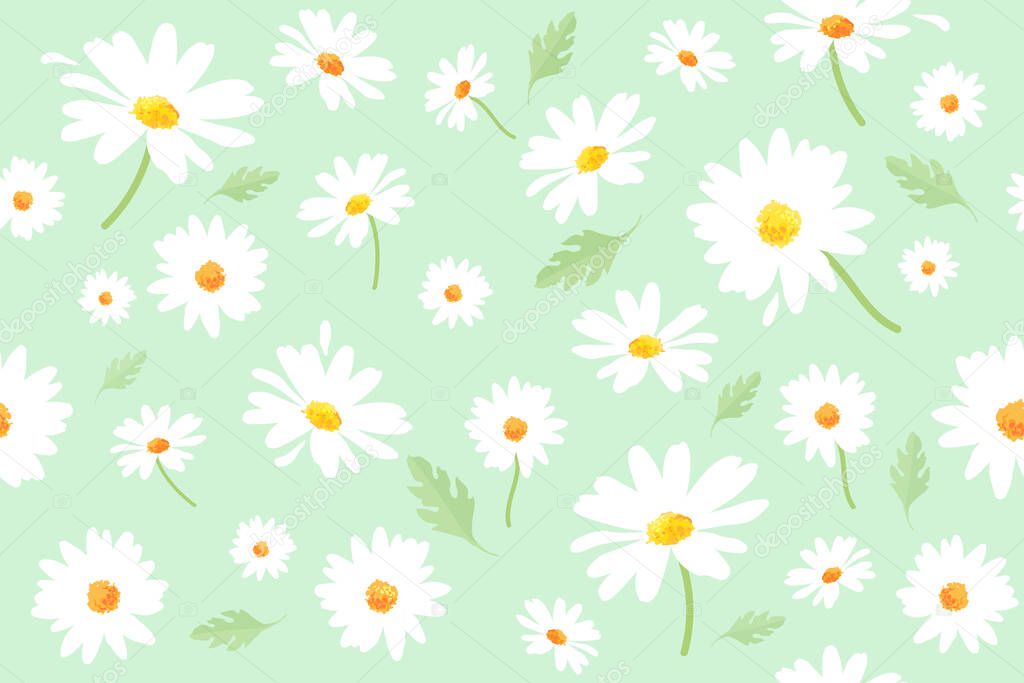 Vector pattern illustration white daisy flowers on a green background. EPS10.