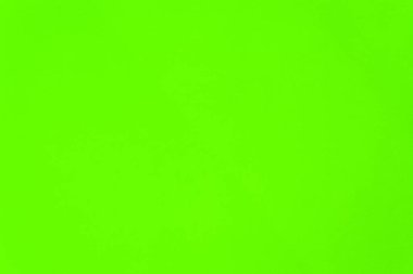 Boş alanı olan yeşil duvar dokusu. Güzel boyanmış yüzey tasarım afişleri. Yeşil doğa arka planının bulanık görüntüsü