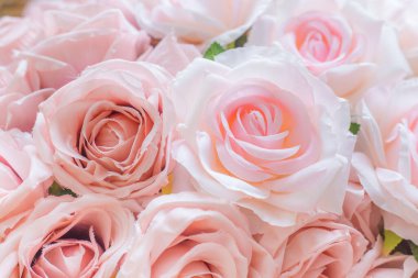 Birçok kumaş soluk pembe gül kapalı arka planda bulanık.