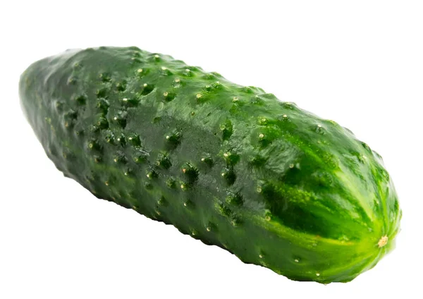 Fresh Cucumber White Background Isolate — Stock Photo, Image