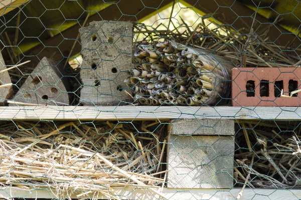 緑の草原の昆虫のための家 環境への配慮 — ストック写真