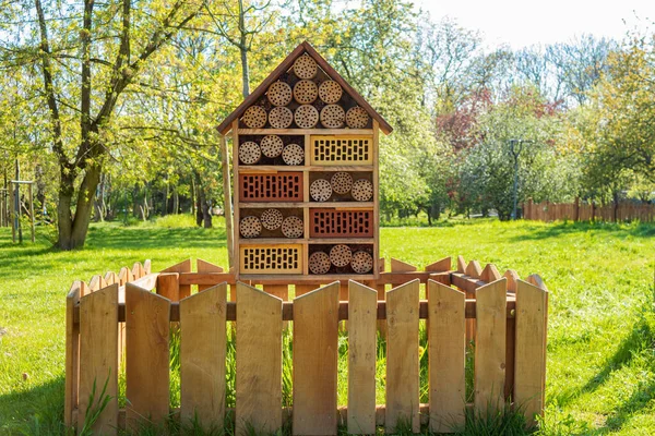 House Hotel Pour Insectes Bois Argile — Photo