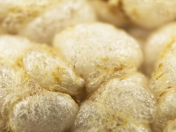 Macro photo of a rice waffle. Rice cakes close up