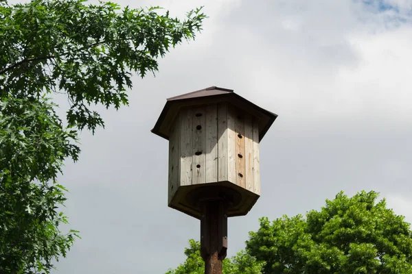The bird house is large and original. A lot of family bird house. Caring for animals and birds. Many storey bird house