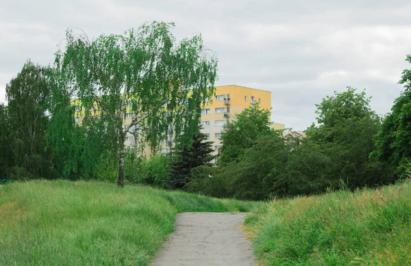 Şehir parkının güzel manzarası